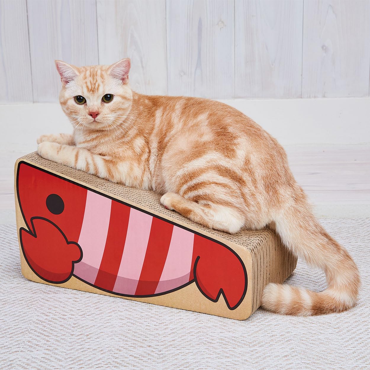 Amazon | ペティオ (Petio) 猫用おもちゃ 立体つめみがきエビ